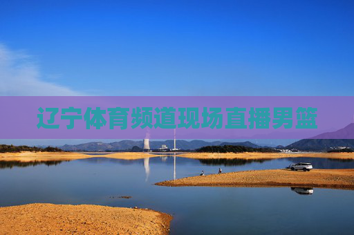 辽宁体育频道现场直播男篮