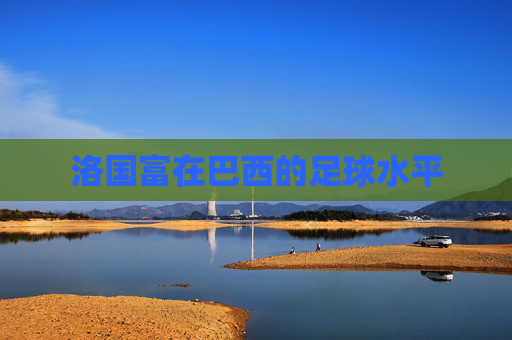 洛国富在巴西的足球水平