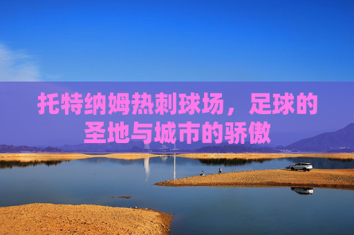托特纳姆热刺球场，足球的圣地与城市的骄傲