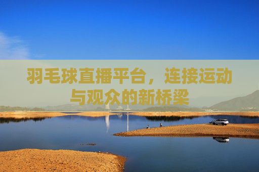 羽毛球直播平台，连接运动与观众的新桥梁