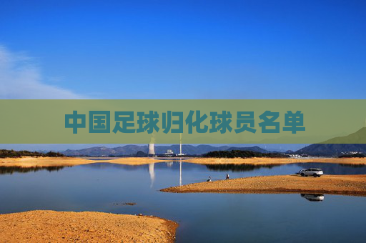 中国足球归化球员名单