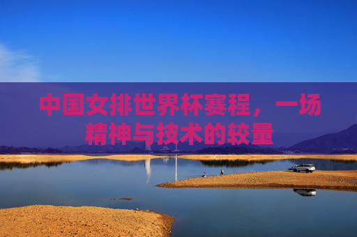 中国女排世界杯赛程，一场精神与技术的较量