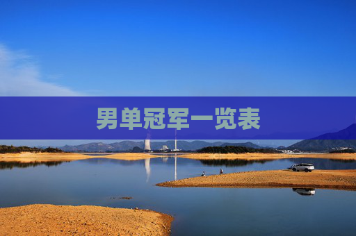 男单冠军一览表