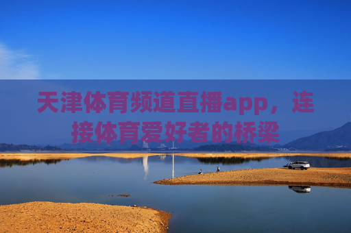 天津体育频道直播app，连接体育爱好者的桥梁