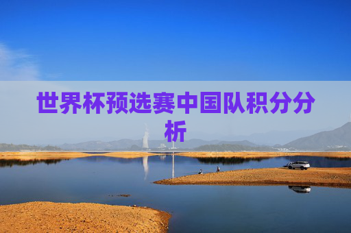 世界杯预选赛中国队积分分析