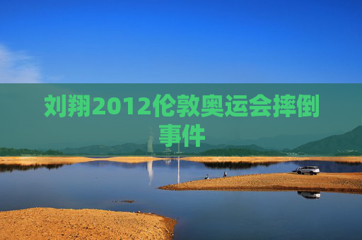 刘翔2012伦敦奥运会摔倒事件
