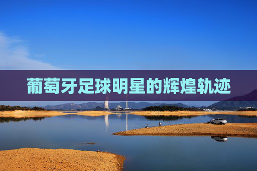 葡萄牙足球明星的辉煌轨迹