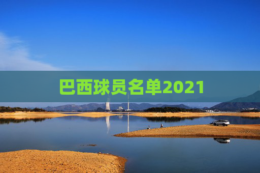 巴西球员名单2021