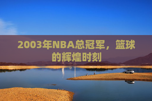 2003年NBA总冠军，篮球的辉煌时刻