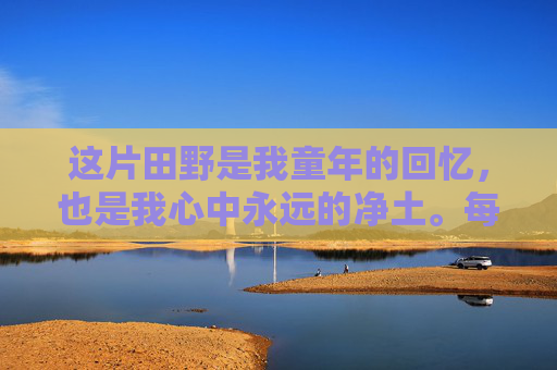 这片田野是我童年的回忆，也是我心中永远的净土。每当我回想起那些与家人一起在田间劳作的日子，心中总是涌起一股暖流。那时的我们，虽然生活条件艰苦，但那份纯真的笑容和对生活的热爱却让我们觉得无比幸福