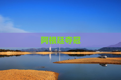 阿根廷夺冠