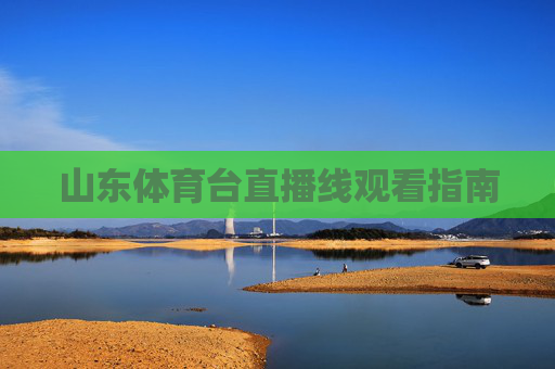 山东体育台直播线观看指南