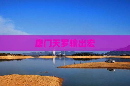 唐门天罗输出宏