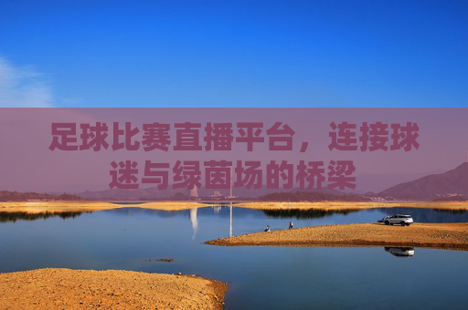 足球比赛直播平台，连接球迷与绿茵场的桥梁