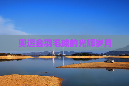 奥运会羽毛球的光辉岁月