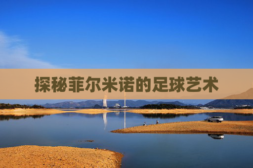 探秘菲尔米诺的足球艺术