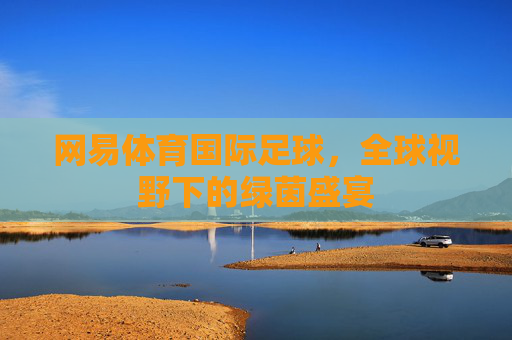 网易体育国际足球，全球视野下的绿茵盛宴