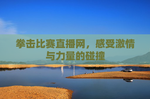 拳击比赛直播网，感受激情与力量的碰撞