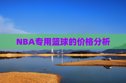 NBA专用篮球的价格分析