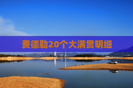 费德勒20个大满贯明细