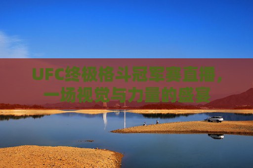UFC终极格斗冠军赛直播，一场视觉与力量的盛宴