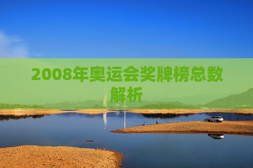 2008年奥运会奖牌榜总数解析