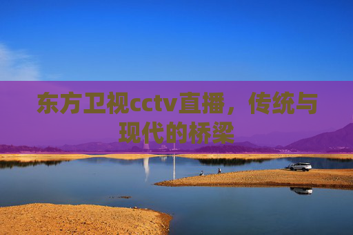 东方卫视cctv直播，传统与现代的桥梁