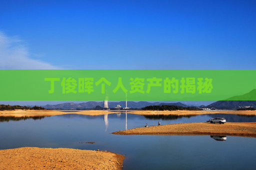 丁俊晖个人资产的揭秘