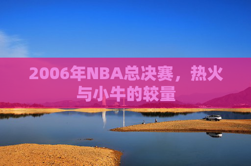 2006年NBA总决赛，热火与小牛的较量