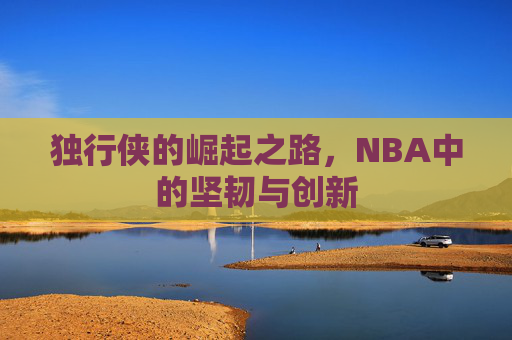 独行侠的崛起之路，NBA中的坚韧与创新