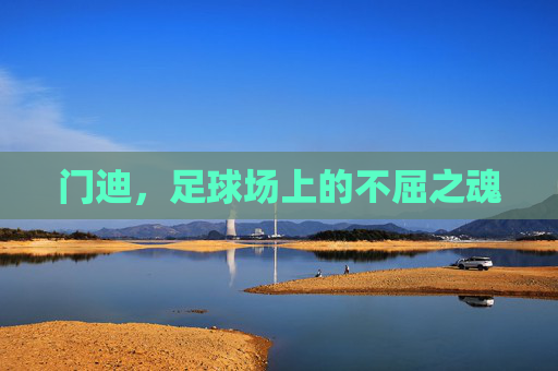 门迪，足球场上的不屈之魂