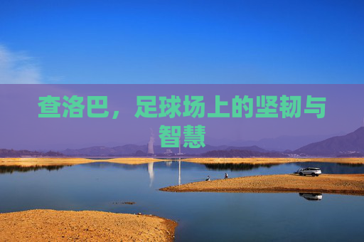 查洛巴，足球场上的坚韧与智慧