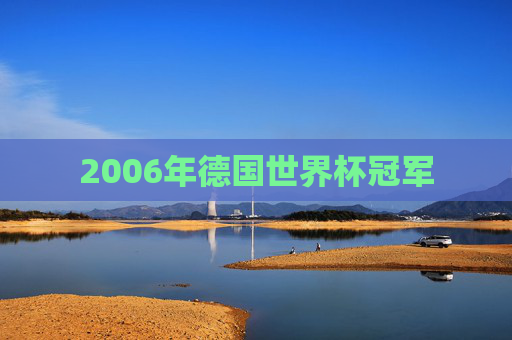 2006年德国世界杯冠军