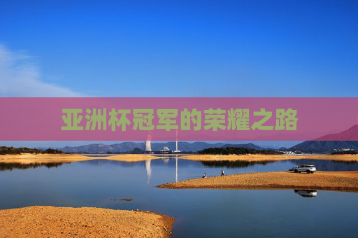 亚洲杯冠军的荣耀之路