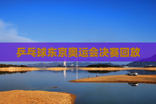 乒乓球东京奥运会决赛回放