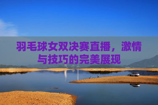 羽毛球女双决赛直播，激情与技巧的完美展现