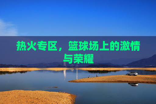 热火专区，篮球场上的激情与荣耀