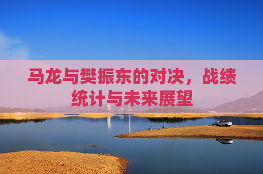 马龙与樊振东的对决，战绩统计与未来展望
