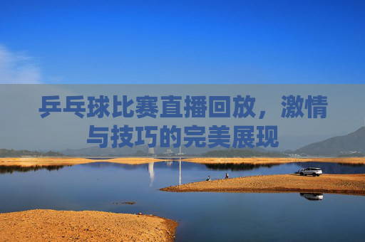 乒乓球比赛直播回放，激情与技巧的完美展现