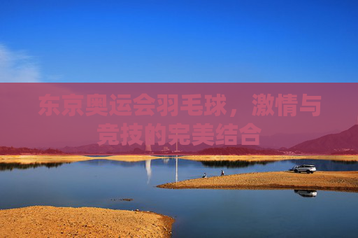 东京奥运会羽毛球，激情与竞技的完美结合