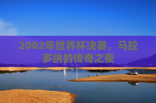 2002年世界杯决赛，马拉多纳的传奇之夜