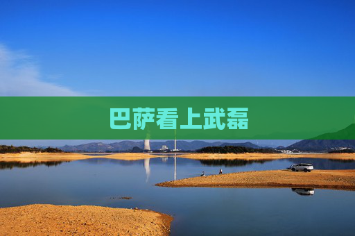 巴萨看上武磊