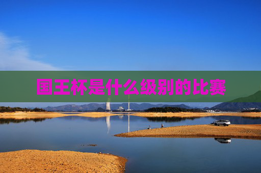 国王杯是什么级别的比赛