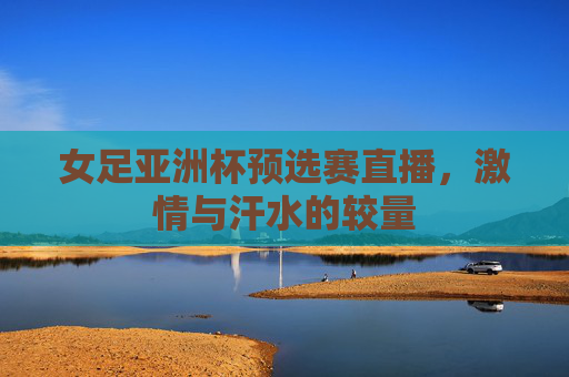 女足亚洲杯预选赛直播，激情与汗水的较量
