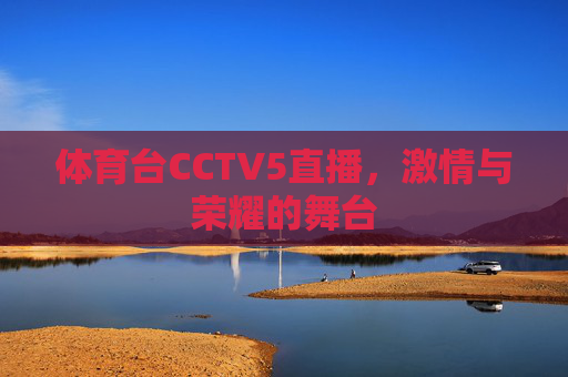 体育台CCTV5直播，激情与荣耀的舞台