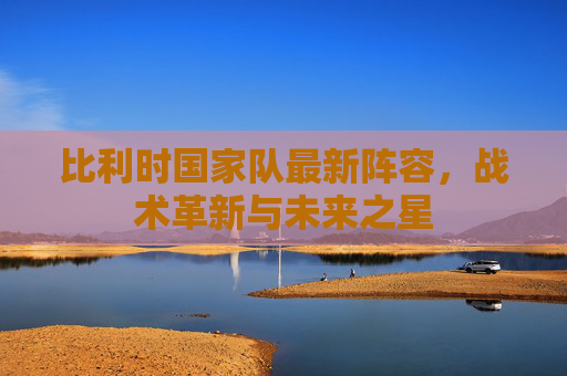 比利时国家队最新阵容，战术革新与未来之星
