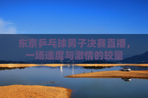 东京乒乓球男子决赛直播，一场速度与激情的较量