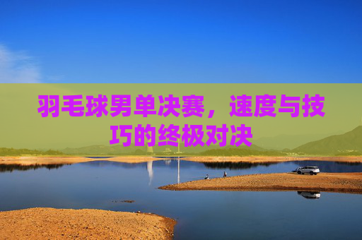 羽毛球男单决赛，速度与技巧的终极对决