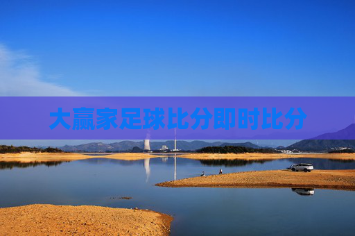 大赢家足球比分即时比分