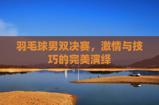 羽毛球男双决赛，激情与技巧的完美演绎